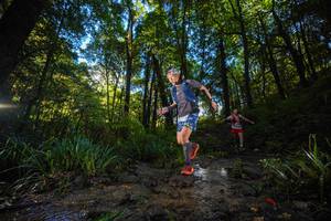 BIB: 
                            <button type="button" onclick="openModal(19229678)" class="btn btn-primary btn-sm float-right btn-popup" data-toggle="modal" data-target=".modal-high-quality">
                        <i class="fas fa-shopping-cart"></i> Add to Cart
                    </button>
                                            <button type="button" onclick="isThisMe(19229678, true)" class="btn btn-success btn-sm float-right btn-popup btn-isme hidden" data-toggle="tooltip" data-placement="bottom" title="นี่คือรูปของคุณใช่ไหม คลิกที่นี่เพื่อเอาเข้าอัลบั้ม">
                        <i class="fas fa-plus"></i> Add to album
                    </button>
                    <button type="button" onclick="isThisMe(19229678, false)" class="btn btn-warning btn-sm float-right btn-popup btn-isnotme hidden">
                        <i class="fas fa-ban"></i> Remove from album
                    </button>